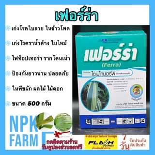 เฟอร์ร่า ขนาด 500 กรัม ไดเมโทมอร์ฟ50%WP สารเดียวกับ ฟอรัม เก่งโรคใบลายในข้าวโพด ราน้ำค้าง ใบจุด ใบไหม้ ตากบ ตาเสือ