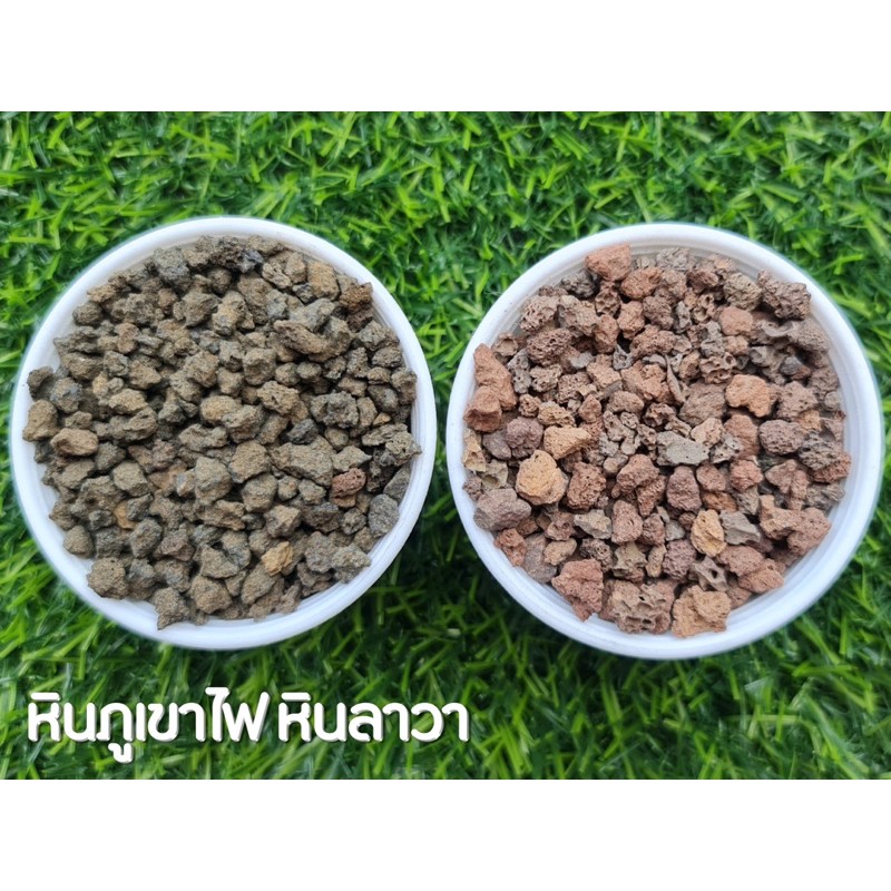 โรยหน้ากระถาง หินภูเขาไฟดำ (Black Volcanic Rock)  หินภูเขาไฟแดง (Red Volcanic Rock)