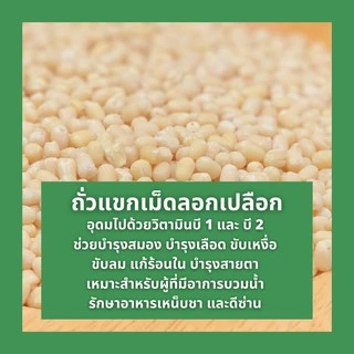 ถั่วแขกเม็ดลอกเปลือก เลนทิลขาวเต็มเม็ด 500 กรัม white lentil, urad dal whole, white urad 500g