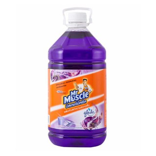 น้ำยาถูพื้น MR.MUSCLE ไวลด์ ลาเวนเดอร์ 5 ลิตร  FLOOR CLEANER MR.MUSCLE GLADE WILD LAVENDER 5.2L