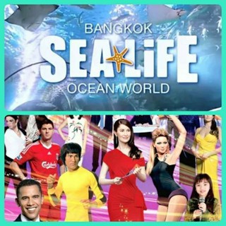 บัตรเข้าSealife Ocean World สยามพารากอน (ซีไลฟ์ โอเชี่ยนเวิลด์) sea life