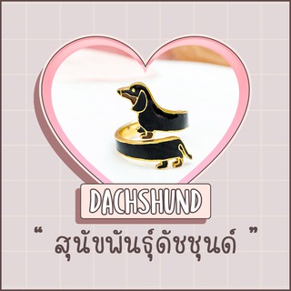 Ring / แหวน : Dachshund / สุนัขพันธุ์ดัชชุนด์