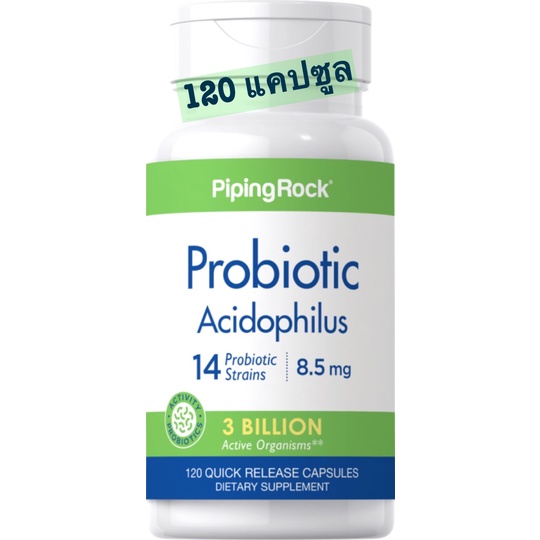 โปรไบโอติก Probiotic Acidophilus 14 สายพันธุ์ 120 แคปซูล Probiotic ...