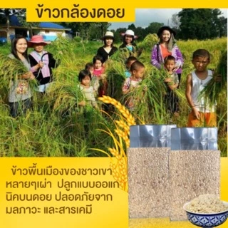 *ค่าส่งถูกที่สุด*ข้าวกล้องดอย ปลอดสาร 1 กิโลกรัม