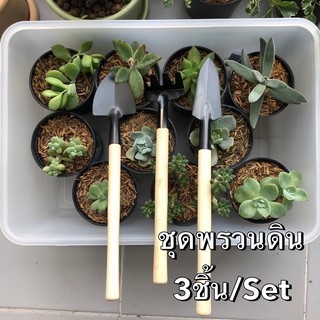 ชุดพรวนดินมินิ อุปกรณ์พรวนดินขนาดเล็ก เหมาะสำหรับการปลูกแคคต…