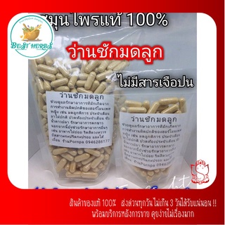 ว่านชัก☘️มดลูกผง 100 และ 500 เม็ด พร้อมส่ง