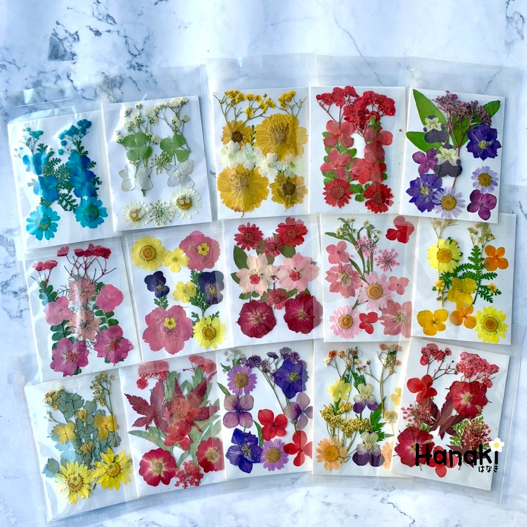 [พร้อมส่ง]Setดอกไม้จริงทับแห้ง  Pressed Flowers💐