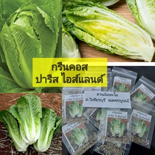 เมล็ดพันธุ์ผักสลัดกรีนคอส ไอส์แลนส์120-150เมล็ด(มีเก็บเงินปลายทาง)