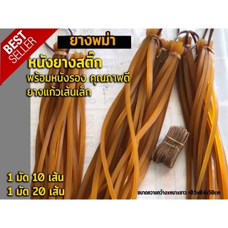 หนังยาง ยางแก้วเส้นเล็ก หนังยางสติ๊ก พร้อมหนังรอง ยางพม่า + ยางรอง เหนียวขาดยาก ความยาว 50 CM พร้อมส่งครับ