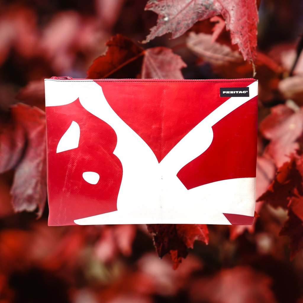 🐰❤️ F08 • DAN  Bunny ลายกระต่าย🐰❤️