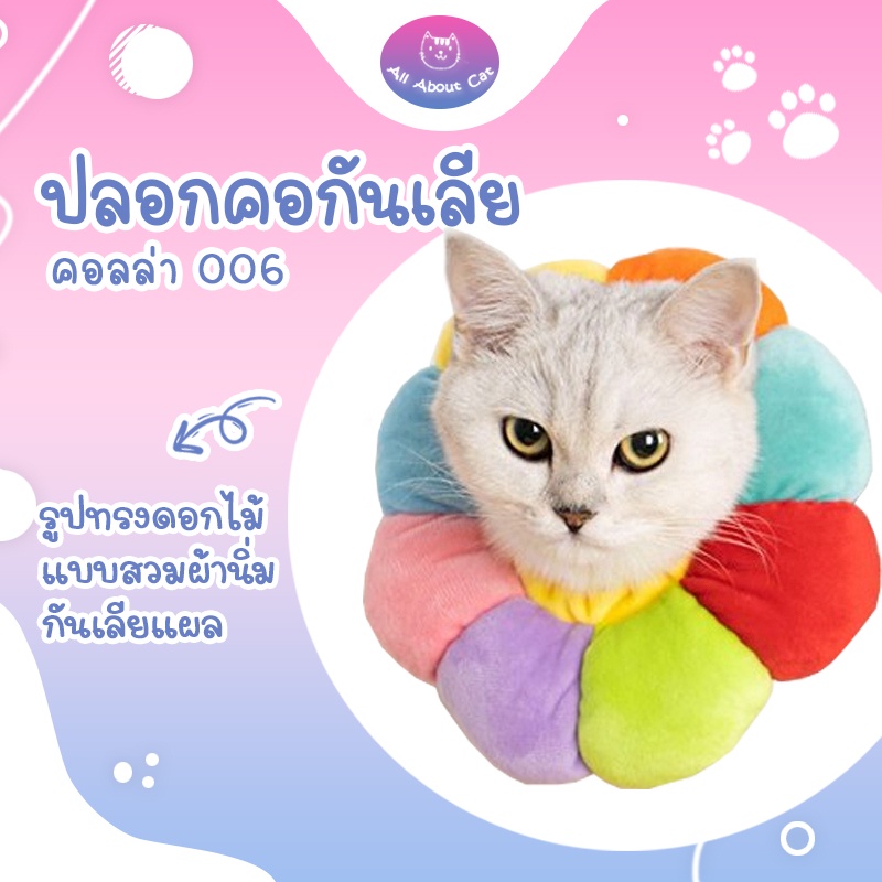 [ ABC cat ] [ collar006 ] คอลล่าดอกไม้กันแมวเลีย คอลล่า 006 ดอกไม้