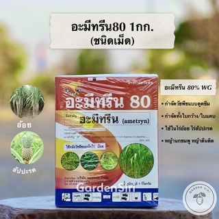 อะมีทรีน80 (ชนิดเม็ด) สารกำจัดหญ้าวัชพืชใบกว้าง ใบแคบในไร่อ้อย ไร่สัปปะรด ตราจิงโจ้ทอง ขนาด1กก.