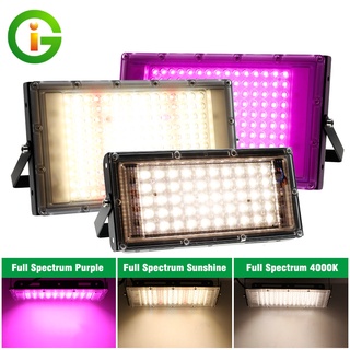 ไฟเลี้ยงต้นไม้ LED Grow Light 50W 100W 300W กันน้ำได้ พร้อมสวิตช์เปิด/ปิดสำหรับดอกไม้ต้นกล้า ไม่กลัวฝนและหมอก แสงดี