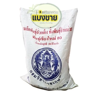 เมล็ดพันธุ์ถั่วเหลืองพันธุ์เชียงใหม่ 60 ขายตามน้ำหนัก ถั่วแระไทย เพาะถั่วงอกหัวโตแบบในอาหารเกาหลีได้
