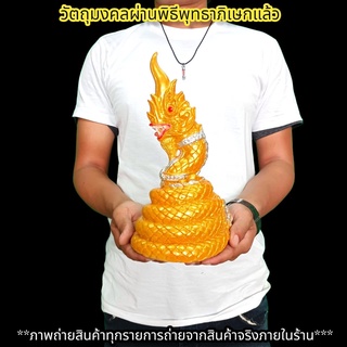 พญานาคราชจำศีลเฝ้าไข่ ตระกูลสีทอง สูง23ซม.บูชาเสริมโชคลาภอำนาจบารมีทำการสิ่งใดอุดมสมบูรณ์มั่งมีศรีสุขร่ำรวย F