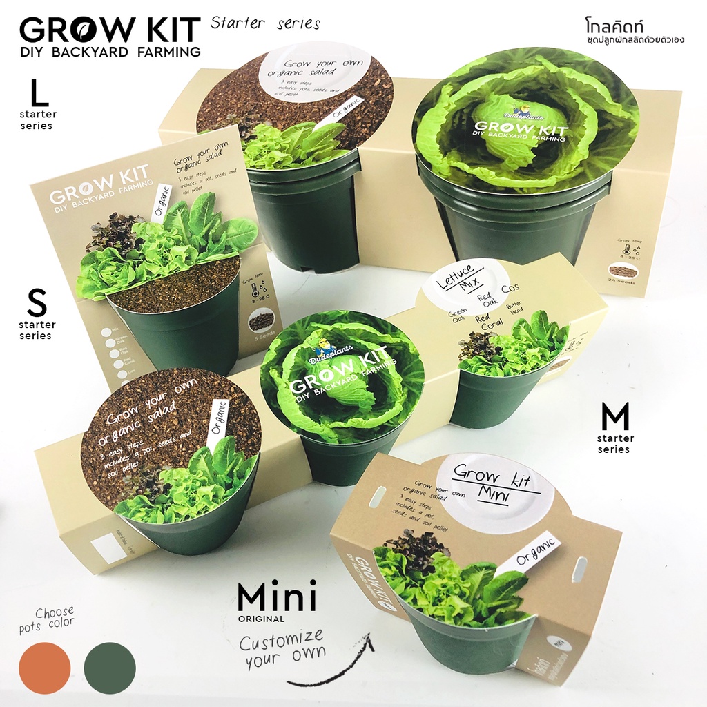 ชุดปลูกผักสลัด Starter series