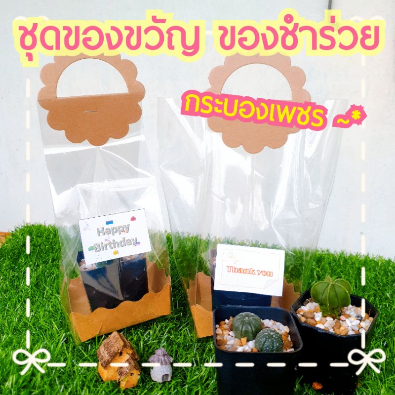 ชุดของขวัญ ของชำร่วย ของที่ระลึก กระบองเพชร แคคตัส ต้นไม้จริง 🎁 แจ้งข้อความที่ต้องการใส่ด้วยค่า