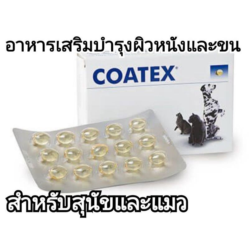 coatex 4กล่อง 240 capsule exp08/2025 (1กล่อง=60capsule) coatex vetplus บำรุงขนสุนัข บำรุงขนแมว
