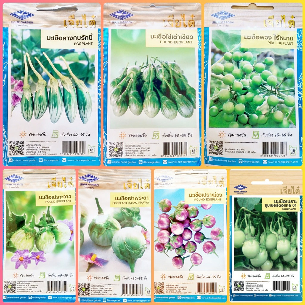 เมล็ดพันธุ์ผัก เจียไต๋ ผักซอง มะเขือคางกบ มะเขือไข่เต่า มะเขือพวง เปราะจาว มะเขือเจ้าพระยา มะเขือเปราะม่วง มะเขือตอแหล