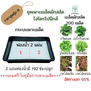 ชุดเพาะเมล็ดผักสลัดไฮโดรโปนิกส์#เมล็ดพันธุ์ผักสลัด 200เมล็ด+ฟองน้ำเพาะเมล็ด 2แผ่น#ชุดราคาสุดคุ้ม