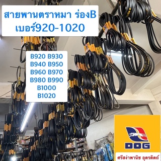 สายพานตราหมา ร่องB เบอร์920-1020 / B920, B930, B940, B950, B960, B970, B980, B990, B1000, B1020