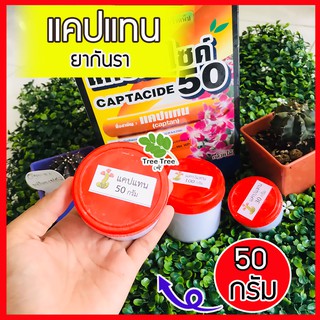 ยากันรา ยากันเชื้อราแคคตัส cactus ชนิดผง ยากันราแคปแทน (Captan - Captacide 50)  แคปแทน  แคคตัส ไม้ประดับ แบ่งขาย 50 กรัม