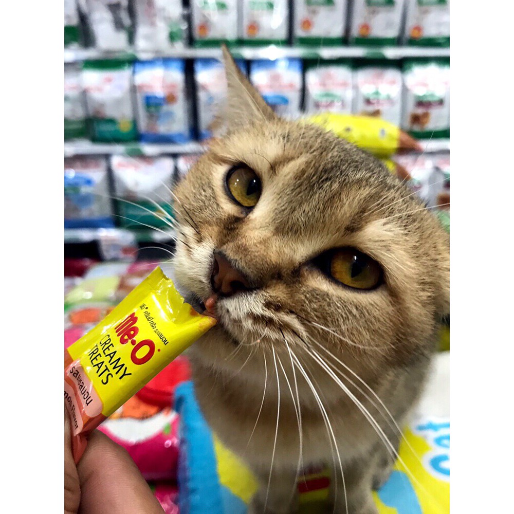 Cheaper Me o Creamy Treat (กระปุก) มี 7 รสชาติ 15g X 36 pcs มีโอแมวเลีย ...