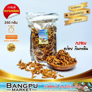 ปลากรอบสามรส ปลาจิ้งจังกรอบ ไม่มีงา (อาหารพร้อมทาน) 250 กรัม (ปลาเล็กปลาน้อย,ปลาจิ้งจั้ง,crispy anchovies,ของกินอร่อย)