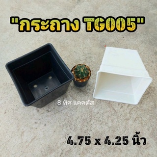 กระถาง TG 005 5 นิ้ว ( 4.75 นิ้ว ) //กด 12 ใบ 120 บาท -- กระถางพลาสติก กระถางแคคตัส  กระบองเพชร