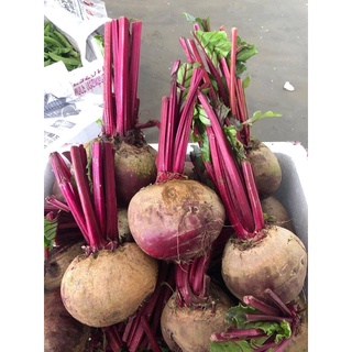 พร้อมส่ง‼️1KG บีทรูทสด 红菜头คัดเกรดพรีเมี่ยม beetroot