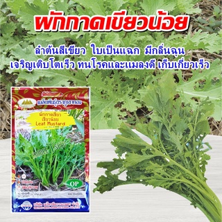 เมล็ดผักกาดเขียว เขียวน้อย Leaf Mustard เมล็ดพันธุ์ผักกาด เมล็ดพันธุ์ผัก เมล็ดพันธุ์ผักสวนครัว ตราภูเขาทอง