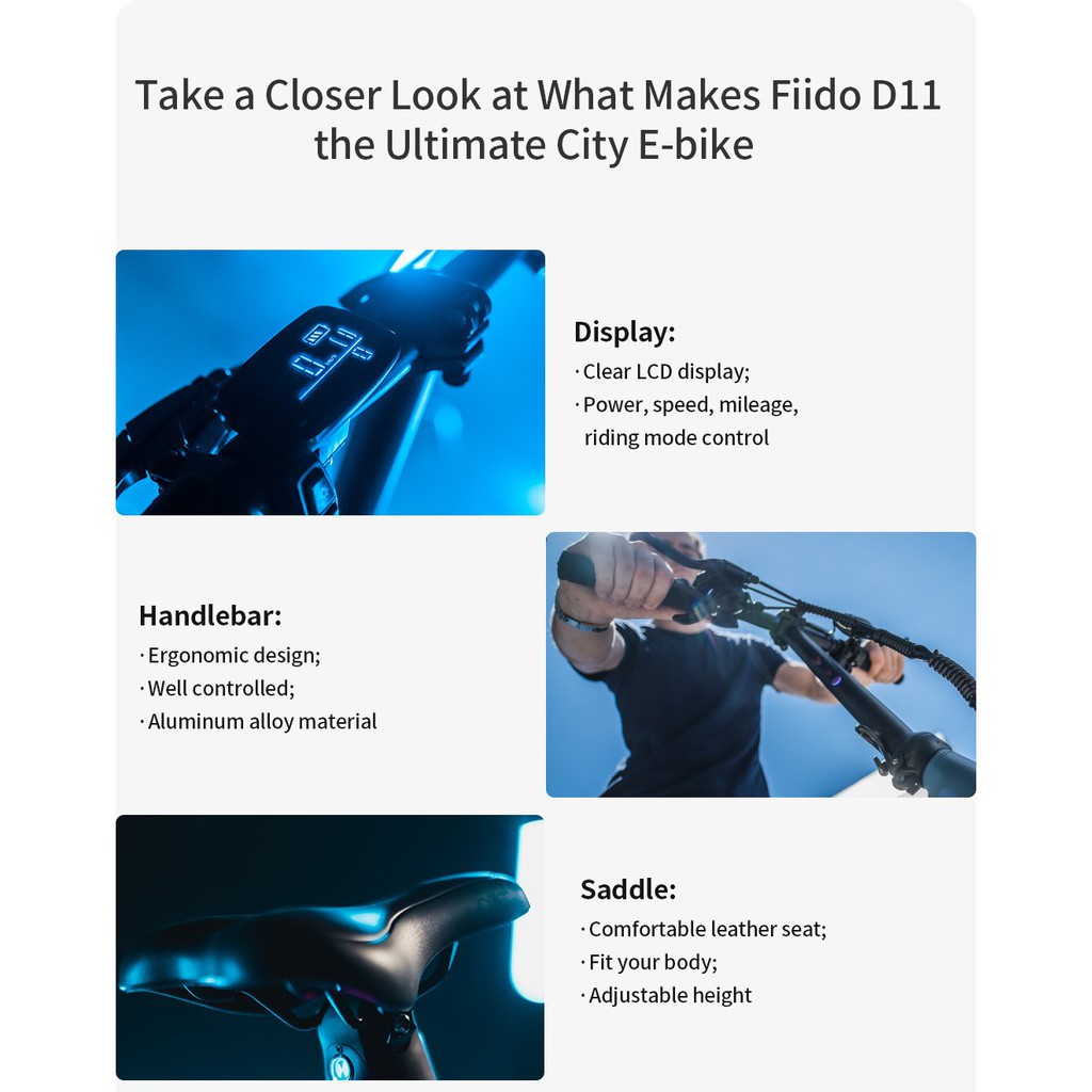 fiido-d11-goodbike-666
