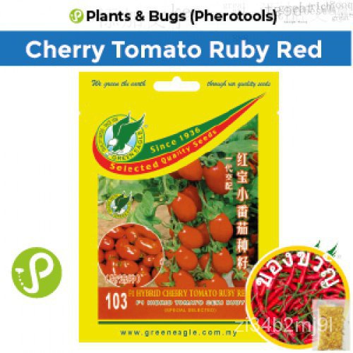 Green Eagle Seeds Tomato RUBY RED CHERRY 103 F1 HYBRID (Pherotools