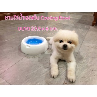 ชามใส่น้ำสัตว์เลี้ยง ชามเจลเย็น cooling bowl ขนาด 23.5 x 6 cm.