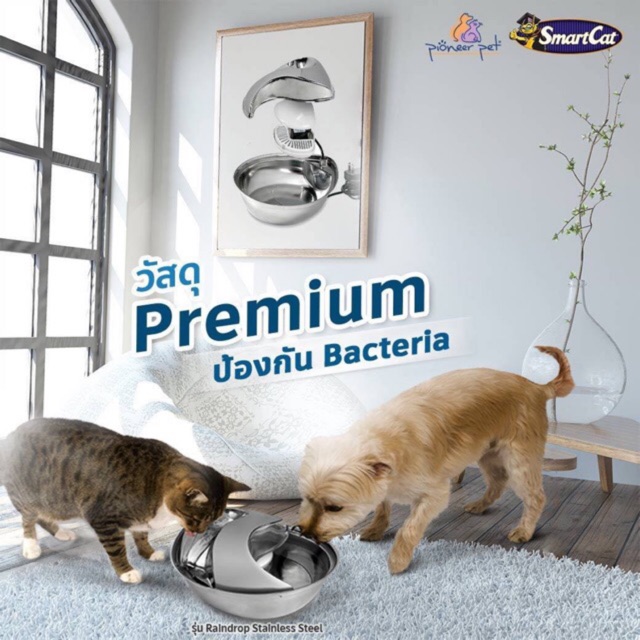 pioneer raindrop fountain