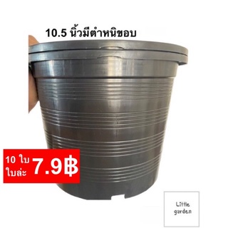 Little กระถางต้นไม้ 10.5 นิ้ว (มีตำหนิขอบกระถาง)กระถางต้นไม้พลาสติก 6 นิ้ว 5 นิ้ว 8(7.5”)นิ้ว