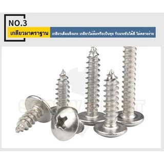 น็อต สกรู หัวร่ม หัวกระทะ แฉก T+ สแตนเลส 304 เกลียวปล่อย M6 / Truss an Head Phillip Tapping Screw