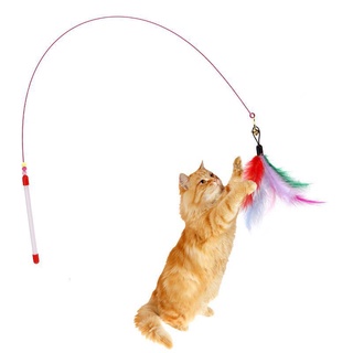 Funny Cat Toy ลวด ขนแมวตลก แมวติดของเล่นแมว ตกปลา Cat Stick Cat Feather ของเล่น ยางยืดของเล่นแมว ไม้ตกแมวไม้เบ็ดขนนก