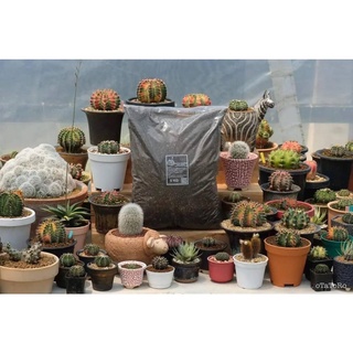 🌵CACTUS Suculent PREMIUM MIXED SOIL ดินกระบองเพชร ไม้อวบน้ำ ไม้โขด พร้อมปลูก 🌵 ถุงใหญ่ 5 kg