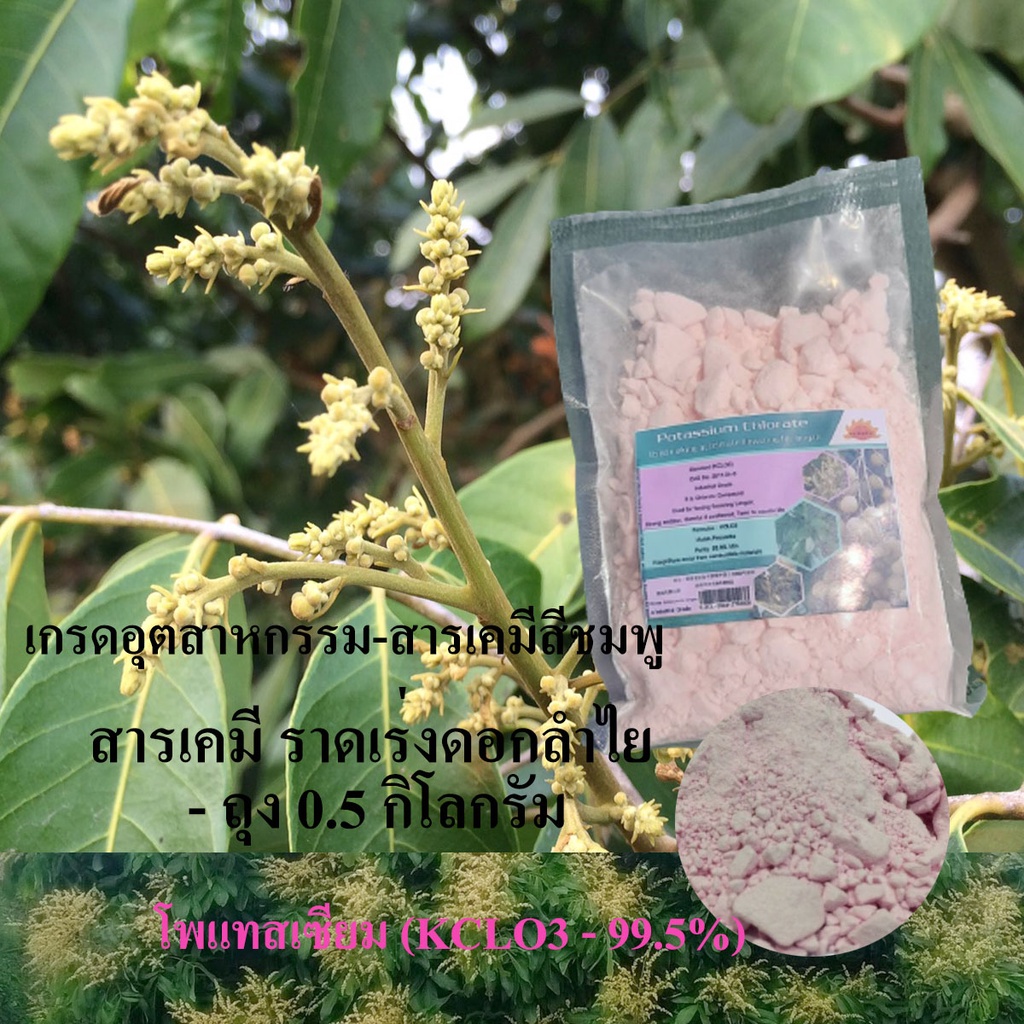 โพแทสเซียม (KCLO3-99.5%) เกรดอุตสาหกรรม-สารเคมีสีชมพู 0.5KG #ราดเร่งดอกลำไย