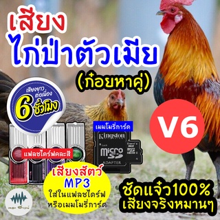 (MP3 เสียงต่อสัตว์) เสียงไก่ป่าเมียV.6 [6ชั่วโมง] ใส่แฟลชไดร์ฟ/เมมโมรี่ มีเก็บเงินปลายทาง เสียงดี ชัด100% ไม่มีโฆษณาแทรก