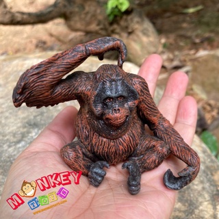 Monkey Toys - โมเดลสัตว์ ลิงอุรังอุตัง ขนาด 8.00 CM (จากหาดใหญ่)