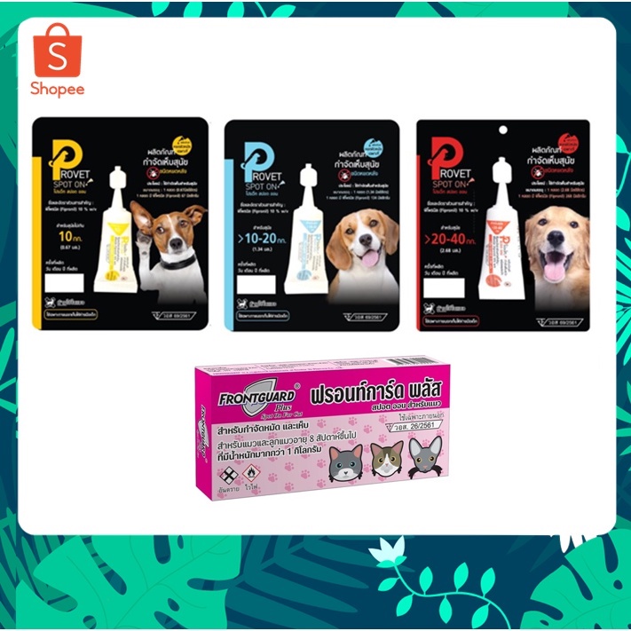 Anti Fleas & Ticks 35 บาท 1 หลอด Provet Spot on/ Forntguard Plus กําจัดเห็บหมัด ยาหยดป้องกันหมัดและเห็บ ยาหยดเห็บหมัด สุนัข แมว Pets