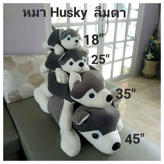 💥ตุ๊กตาน้องหมาHusky(ลืมตา)สีเทา(ร้านgwon)💥