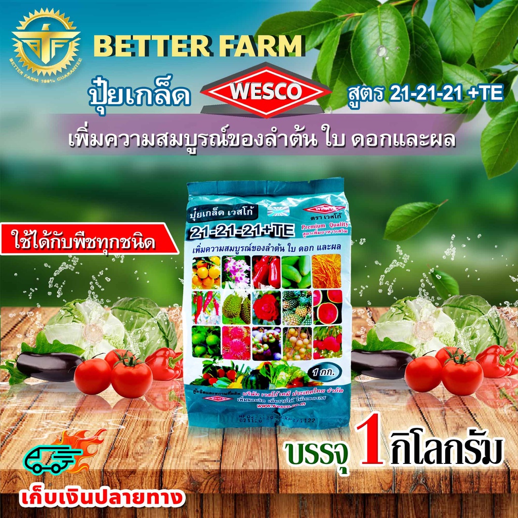 บรรจุ 1 กิโลกรัม WESCO ปุ๋ย 21-21-21 +TEเพิ่มความสมบูรณ์ของลำต้น ใบ ดอกและผล