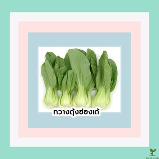 🌱เมล็ดพันธุ์ผักสวนครัว กวางตุ้งฮ่องเต้ 500 เมล็ด 10 บาท 📌งอกดีมีคู่มือการปลูก / ผักสวนครัว เมล็ดผัก [10 แถม 1 คละได้]