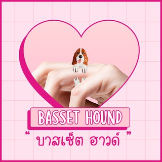 Ring / แหวน : Basset Hound / บาสเซ็ต ฮาวด์