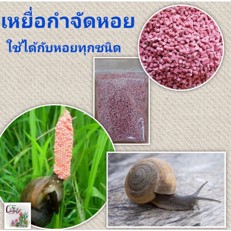 ยาฆ่าหอย ยากำจัดหอย ยาเบื่อหอย ยากำจัดหอยทาก ใช้ได้กับหอยทุกชนิด – เมทัลดีไฮด์ ซองแบ่ง ขนาด 100 กรัม