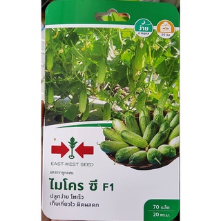 เมล็ดพันธุ์ แตงกวา แตงกวาไมโครซี 🥒หมดอายุ 04/01/2567🥒 ความยาวของแตง 8-10 ซม.  ผลดกมาก บรรจุประมาณ 70 เมล็ด