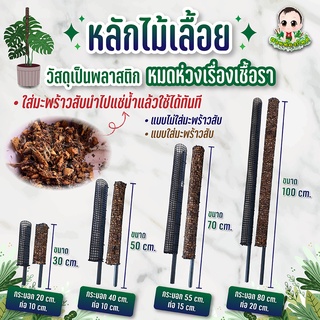 ถูกที่สุด หลักไม้เลื้อย เสาไม้เลื้อย ขนาด 30 cmปราศจากเชื้อรา คุณภาพดีที่สุด